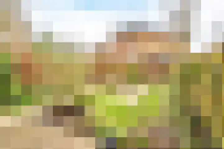 Het Spoor 90 Houten thumbnail 5