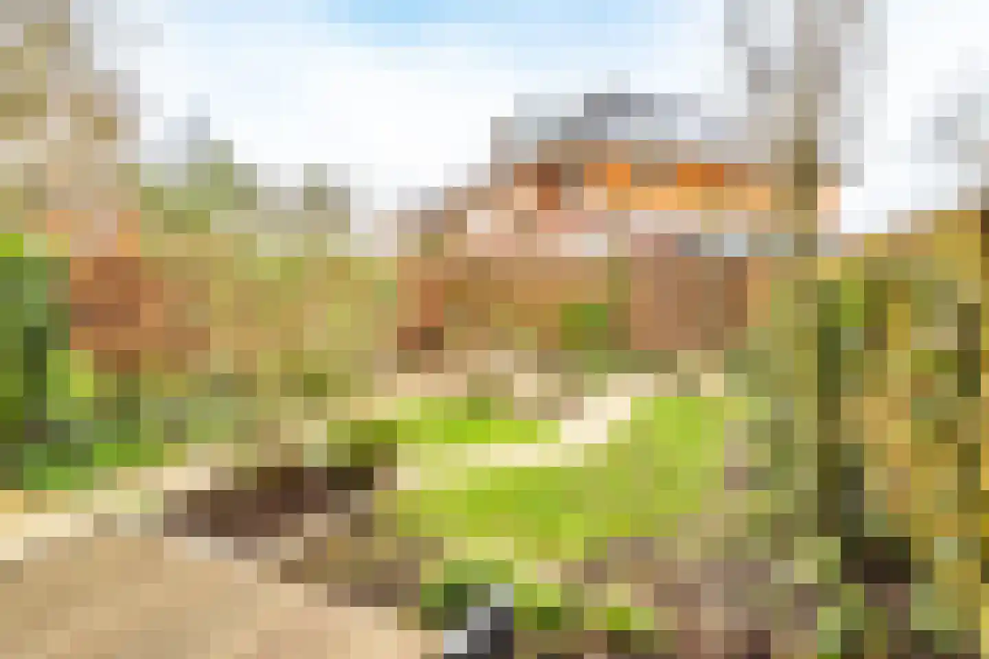 Het Spoor 90 Houten thumbnail 5