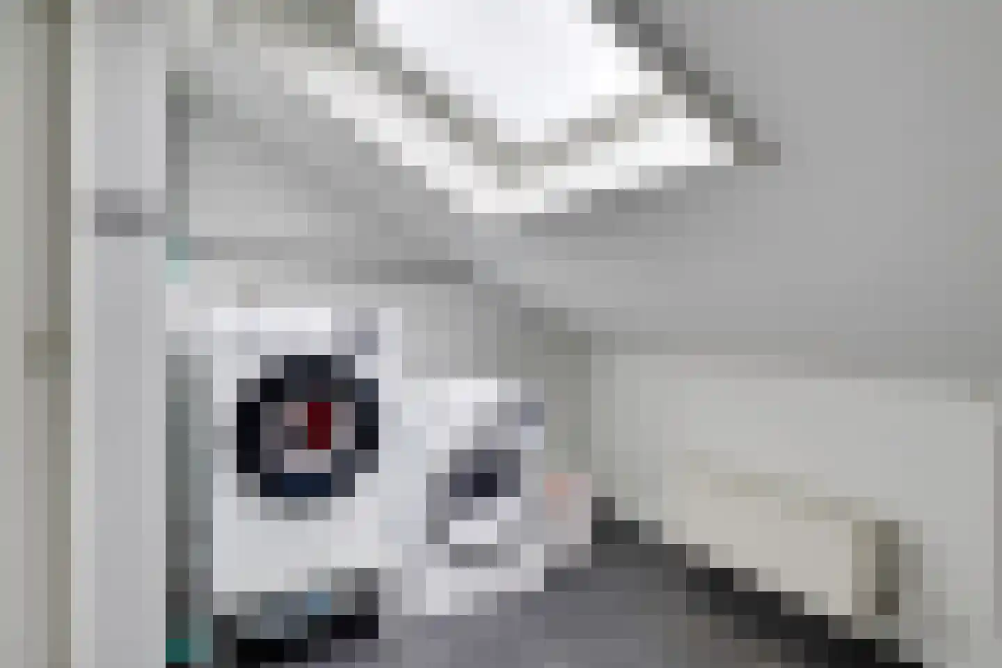 Het Spoor 90 Houten thumbnail 50