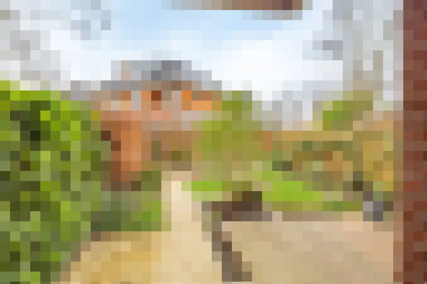 Het Spoor 90 Houten thumbnail 53