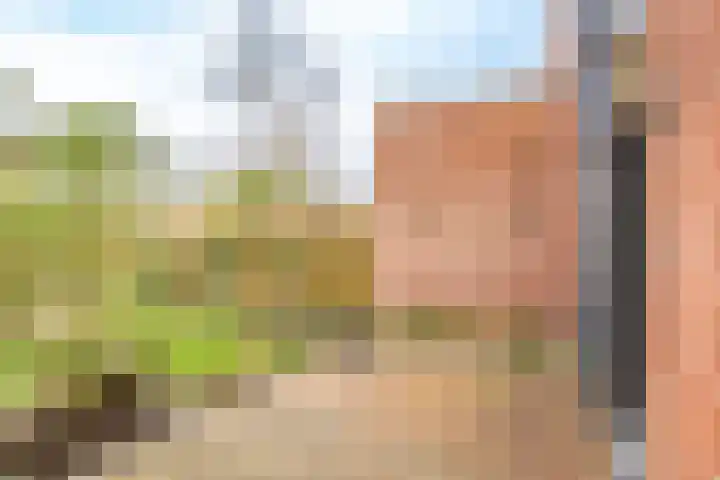 Het Spoor 90 Houten thumbnail 54
