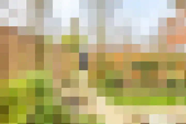 Het Spoor 90 Houten thumbnail 56