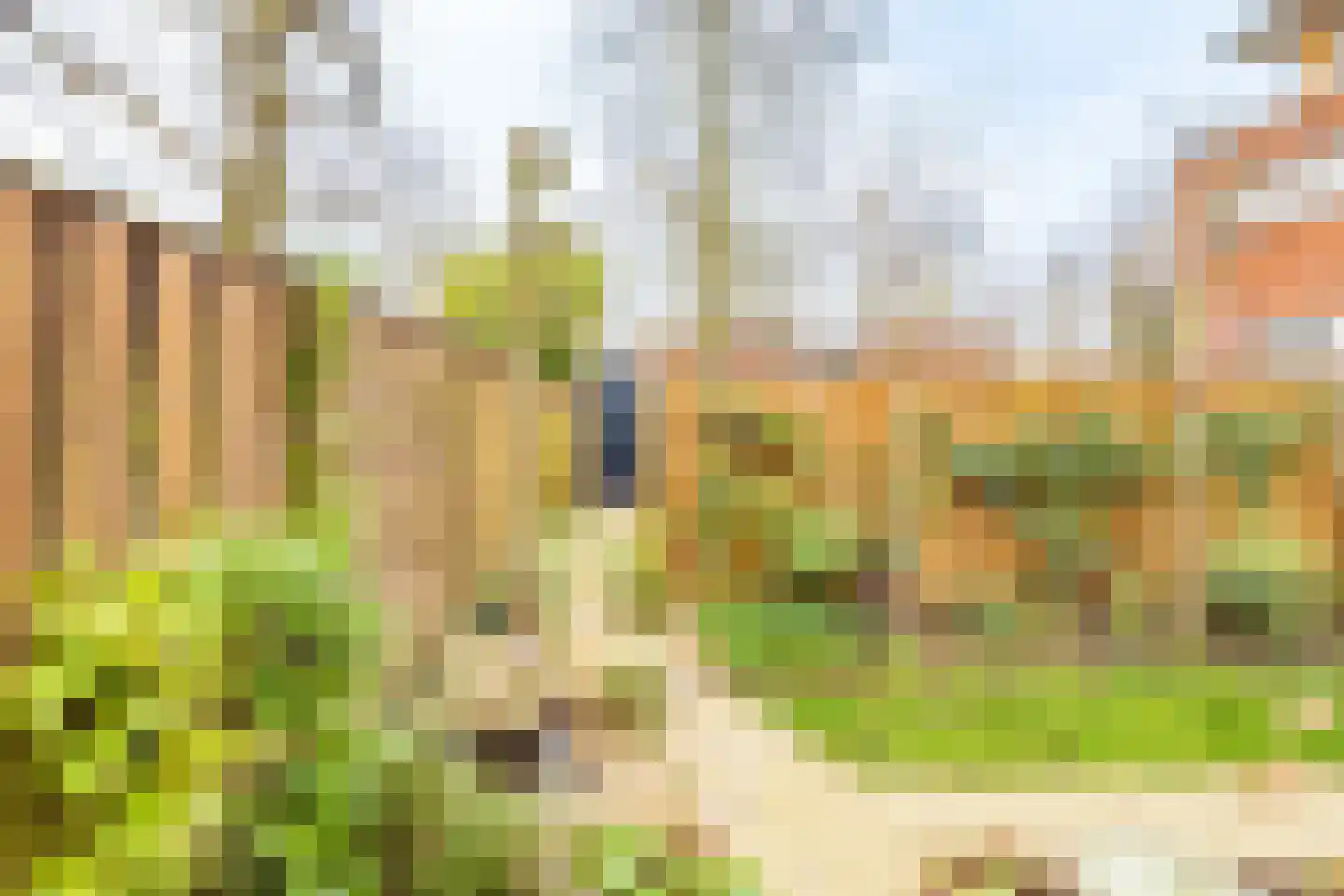 Het Spoor 90 Houten thumbnail 56