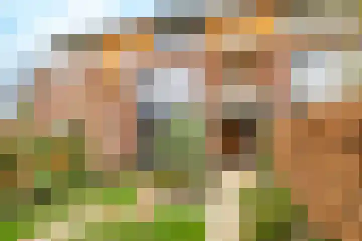 Het Spoor 90 Houten thumbnail 57