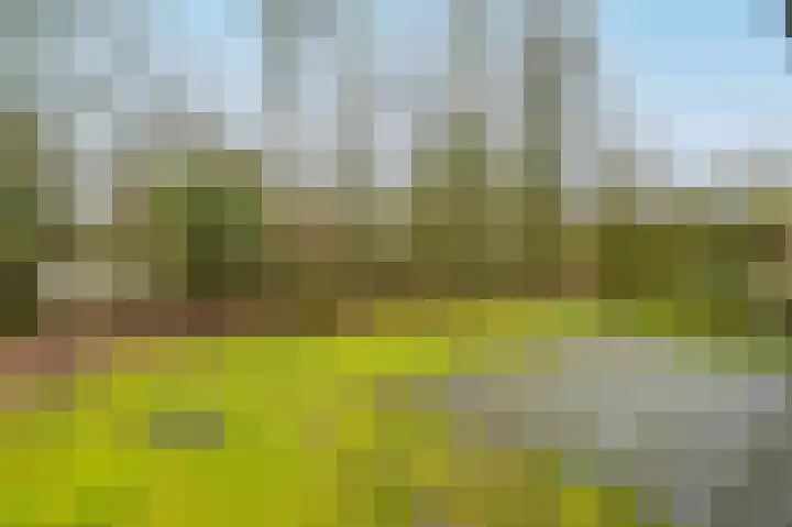 Het Spoor 90 Houten thumbnail 63