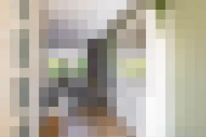 Het Spui 13 Meerstad thumbnail 12