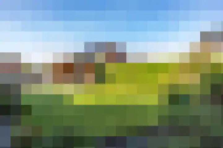 Het Spui 13 Meerstad thumbnail 39
