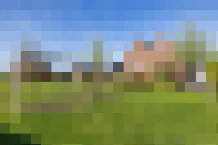 Het Spui 13 Meerstad thumbnail 50