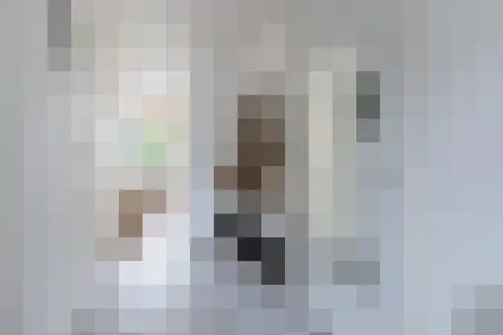 Het Spul 7 Leusden thumbnail 11