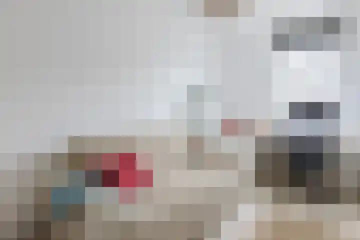 Het Spul 7 Leusden thumbnail 19