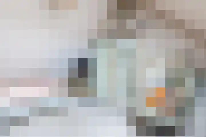 Het Spul 7 Leusden thumbnail 26