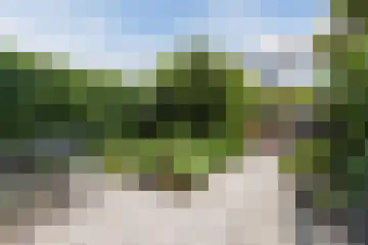 Het Spul 7 Leusden thumbnail 28