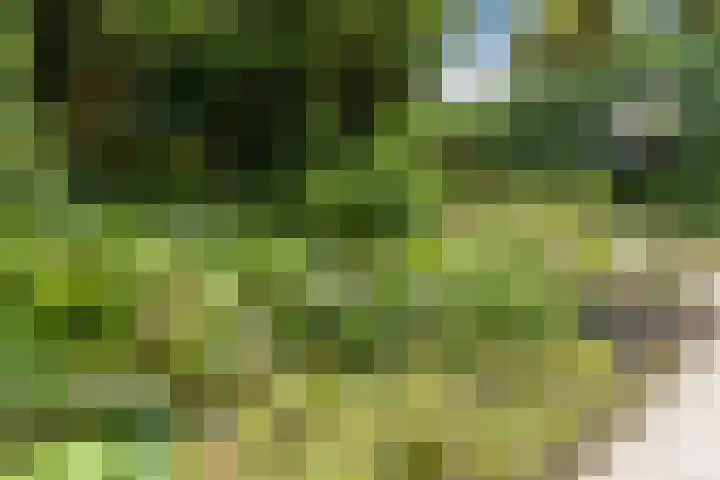 Het Spul 7 Leusden thumbnail 29