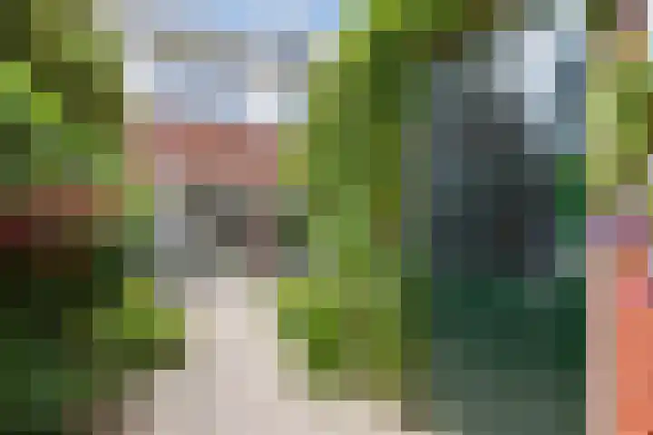 Het Spul 7 Leusden thumbnail 31