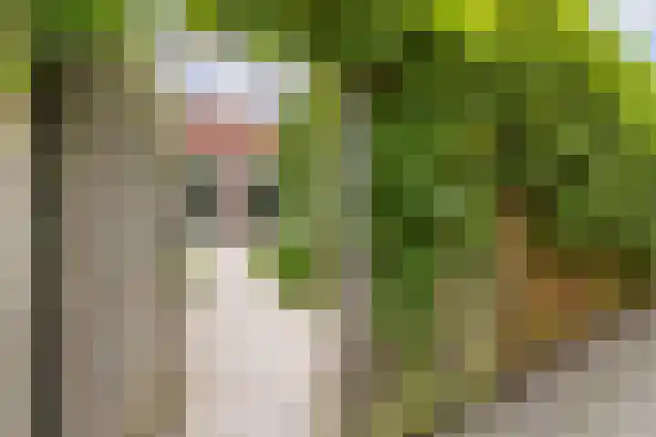Het Spul 7 Leusden thumbnail 32