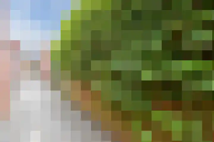 Het Spul 7 Leusden thumbnail 33