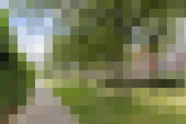 Het Spul 7 Leusden thumbnail 36