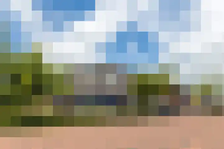Het Spul 7 Leusden thumbnail 39