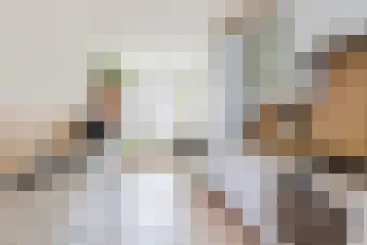 Het Spul 7 Leusden thumbnail 7