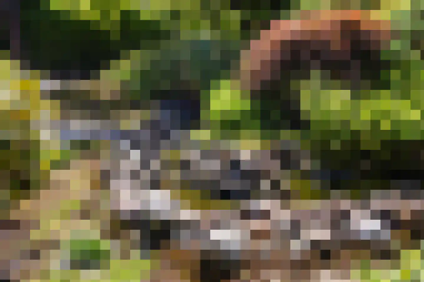 Het Steenbeek 18 Maarn thumbnail 32