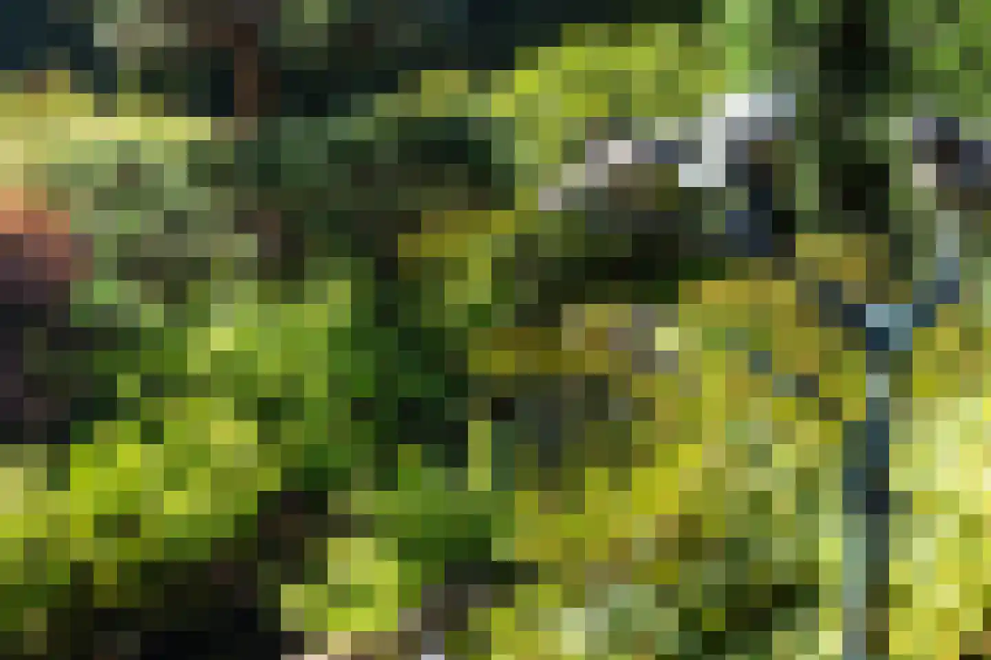 Het Steenbeek 18 Maarn thumbnail 33