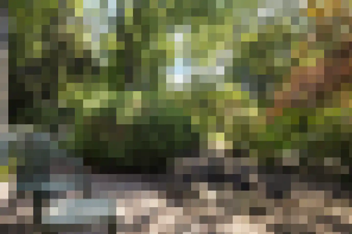 Het Steenbeek 18 Maarn thumbnail 34