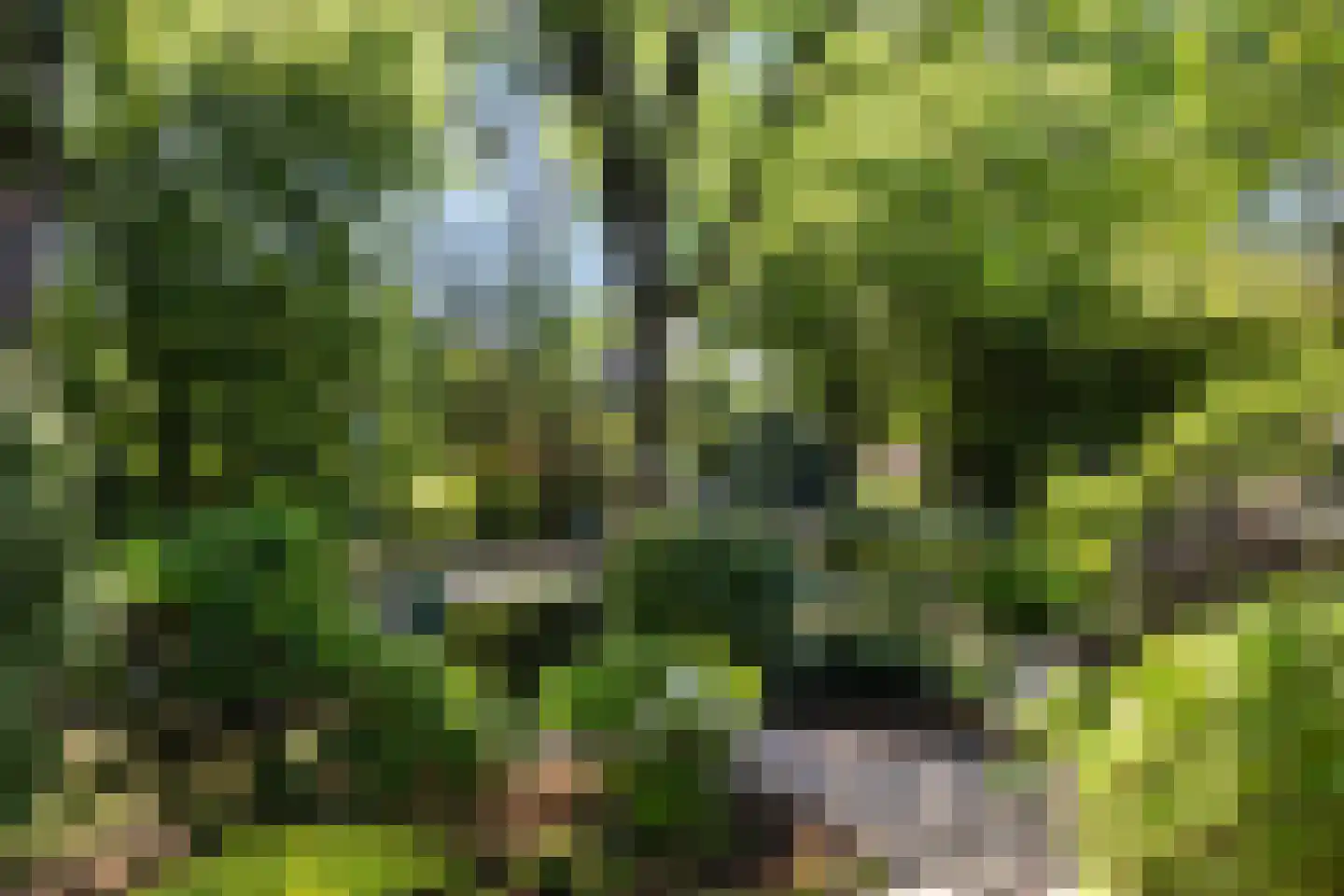 Het Steenbeek 18 Maarn thumbnail 35