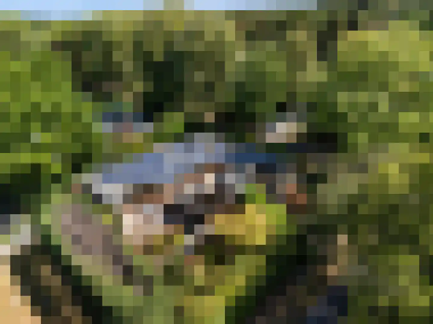 Het Steenbeek 18 Maarn thumbnail 37