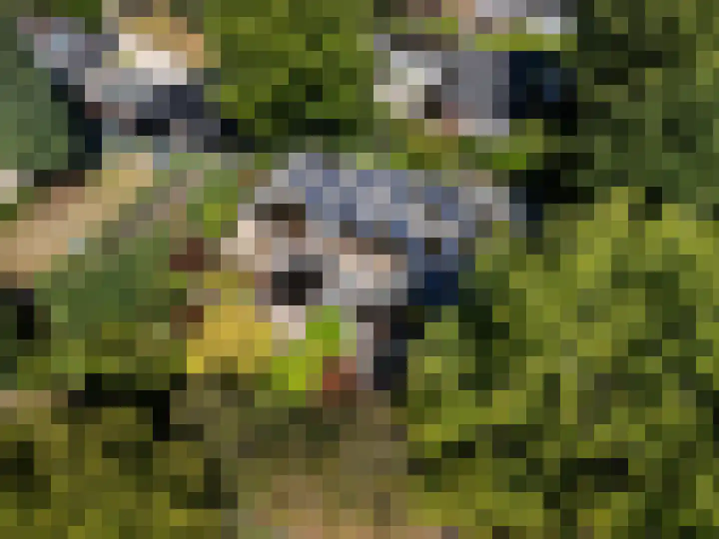 Het Steenbeek 18 Maarn thumbnail 38