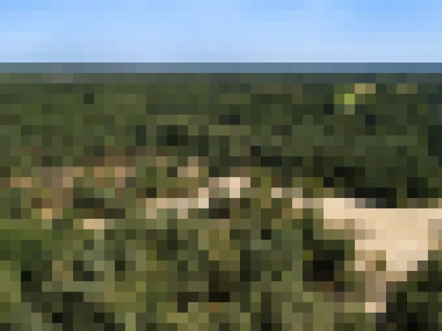 Het Steenbeek 18 Maarn thumbnail 40