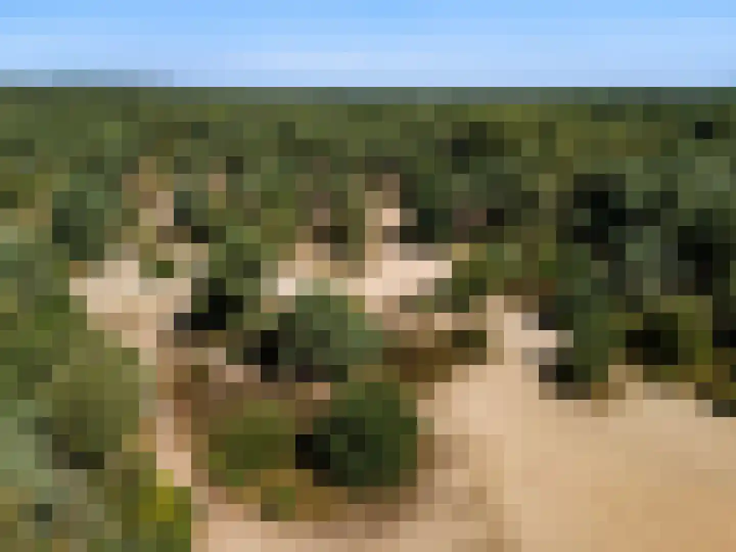 Het Steenbeek 18 Maarn thumbnail 41