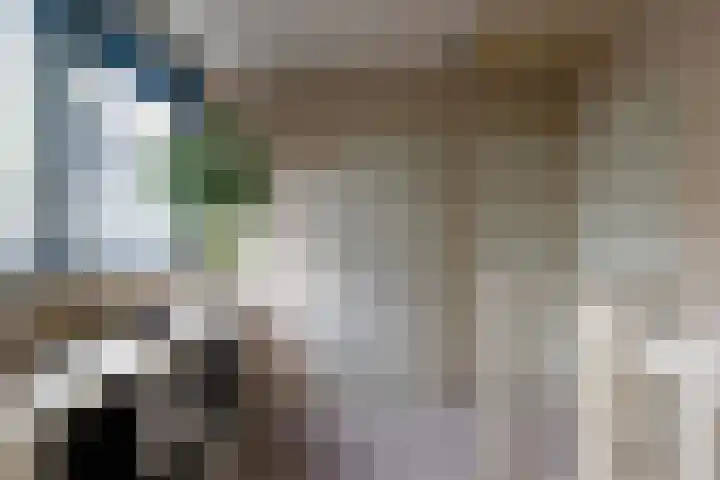 Het Steenbeek 3 Maarn thumbnail 19