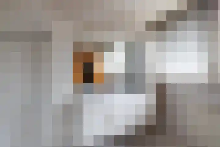 Het Steenbeek 3 Maarn thumbnail 21