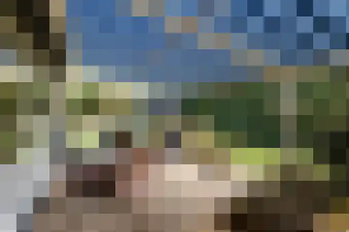 Het Steenbeek 3 Maarn thumbnail 25