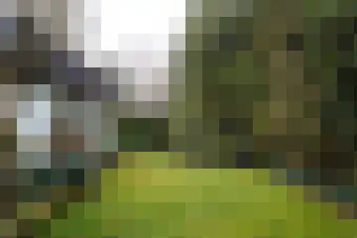 Het Steenbeek 3 Maarn thumbnail 27