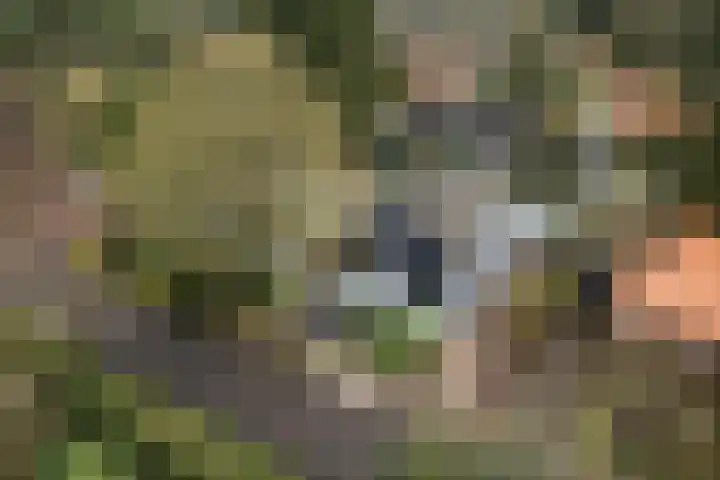 Het Steenbeek 3 Maarn thumbnail 29