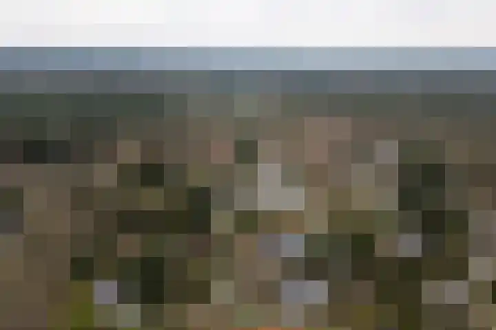 Het Steenbeek 3 Maarn thumbnail 31