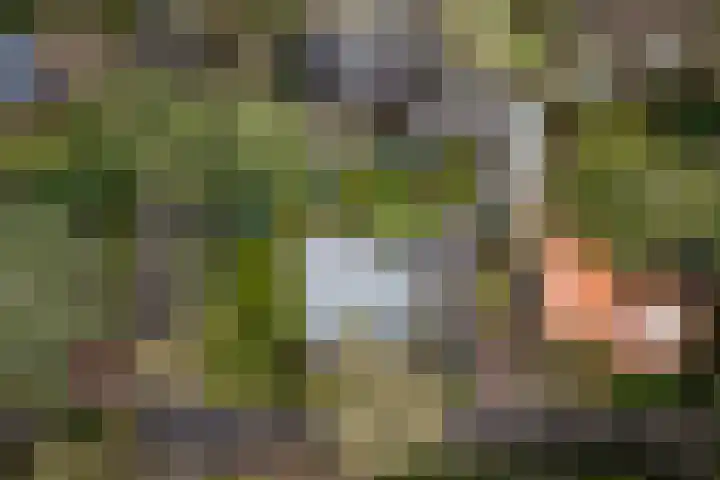 Het Steenbeek 3 Maarn thumbnail 32