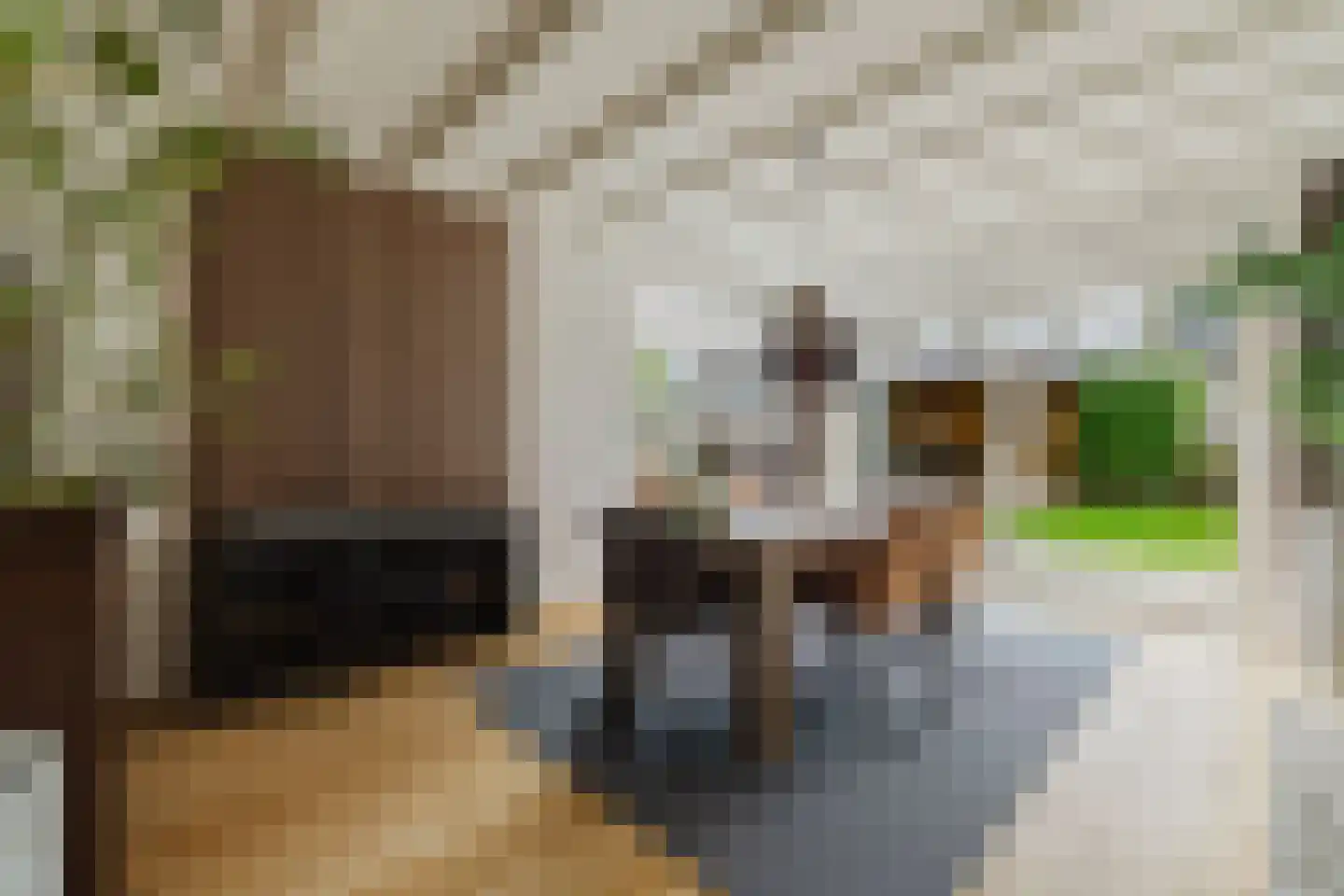 Het Steke 4 Rijsbergen thumbnail 16