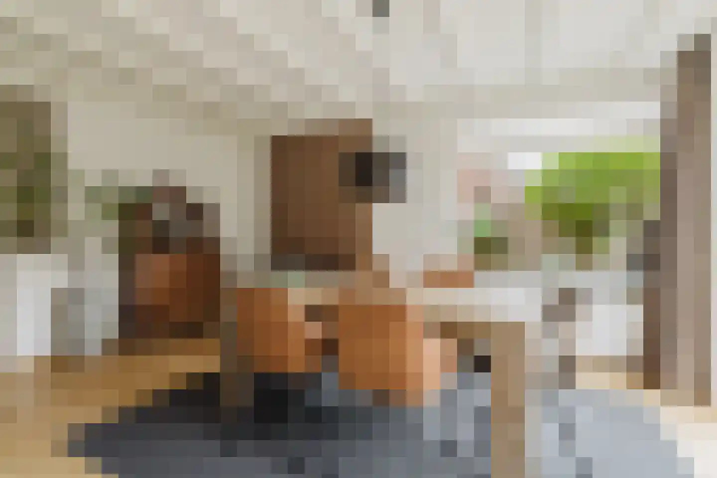 Het Steke 4 Rijsbergen thumbnail 18