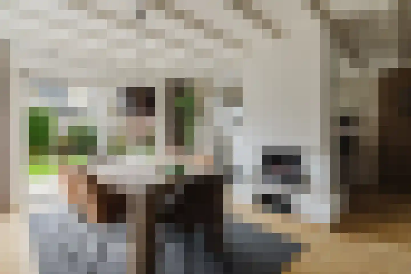 Het Steke 4 Rijsbergen thumbnail 19
