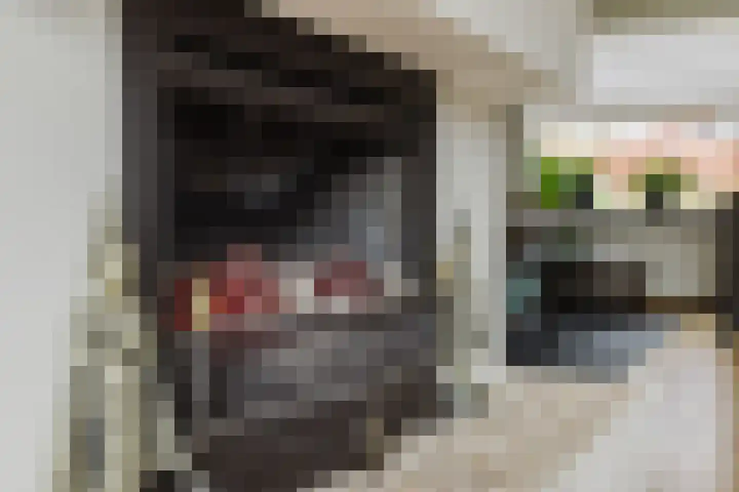 Het Steke 4 Rijsbergen thumbnail 20