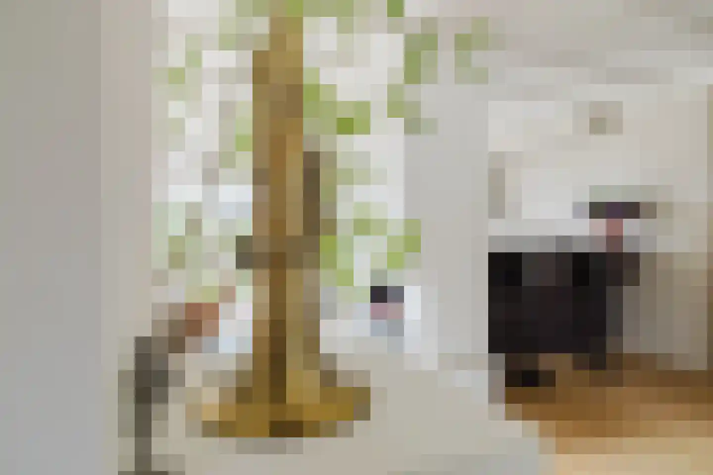 Het Steke 4 Rijsbergen thumbnail 23