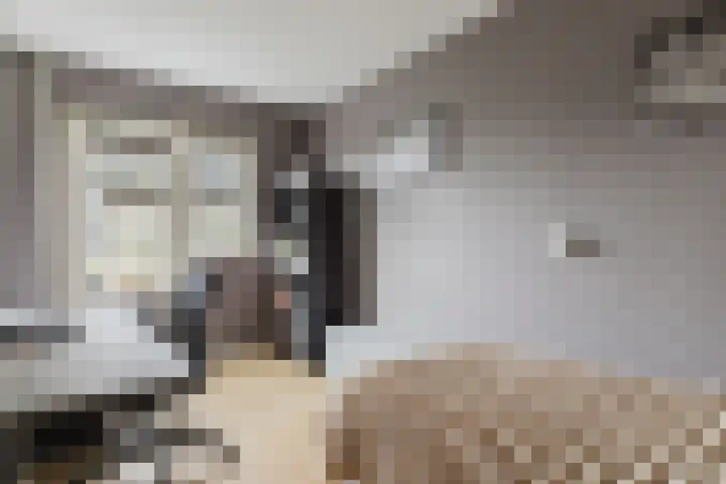 Het Steke 4 Rijsbergen thumbnail 29