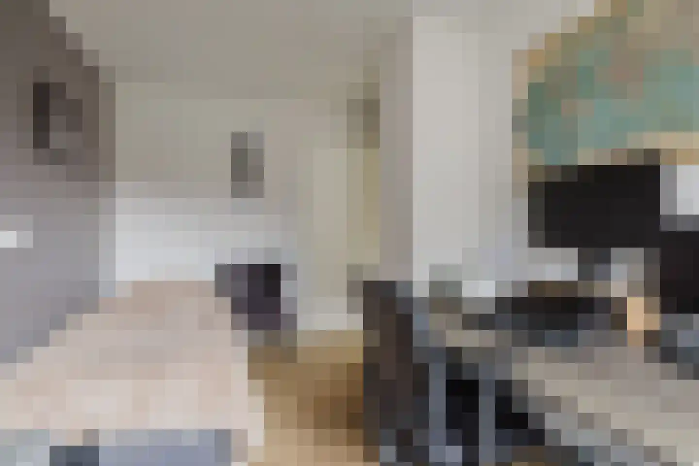 Het Steke 4 Rijsbergen thumbnail 30