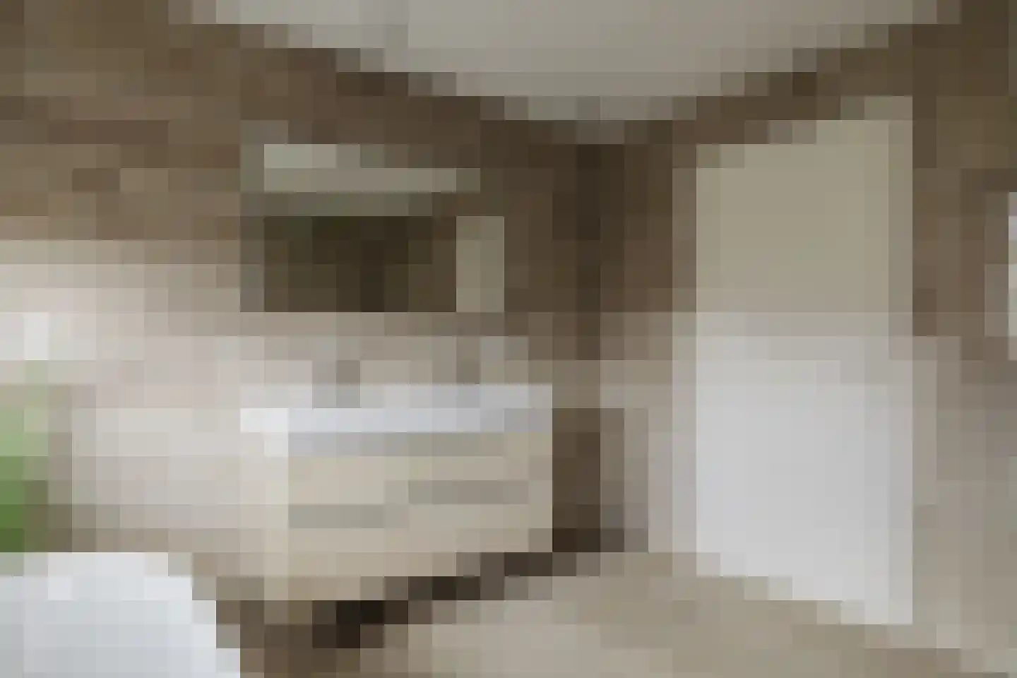 Het Steke 4 Rijsbergen thumbnail 31