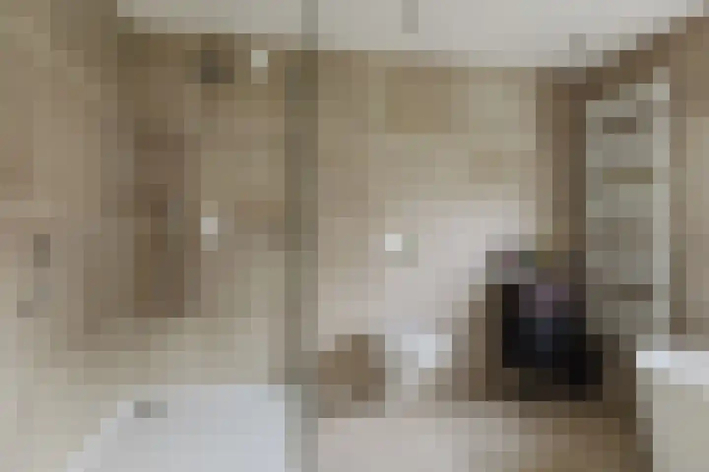 Het Steke 4 Rijsbergen thumbnail 34
