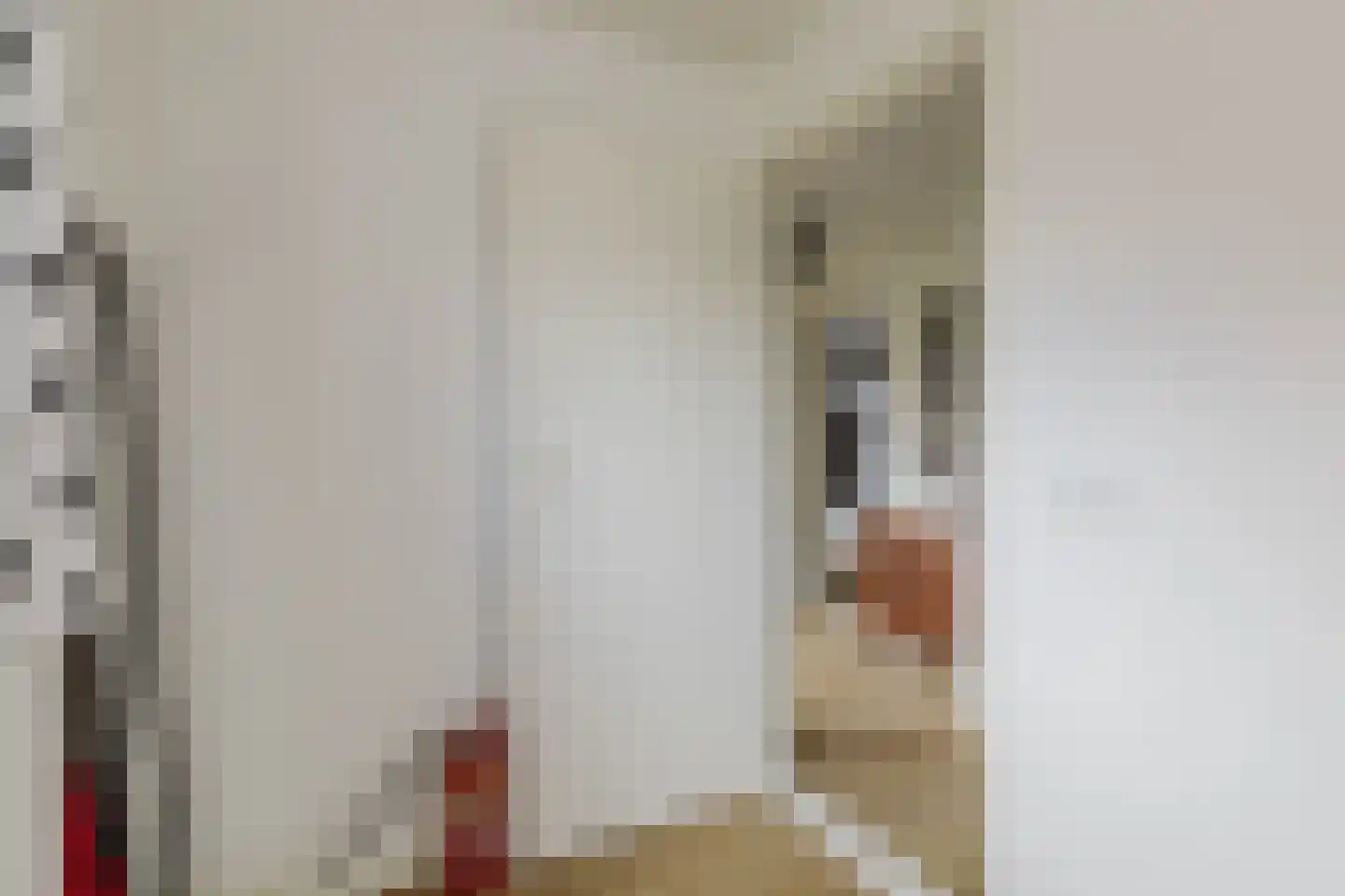 Het Steke 4 Rijsbergen thumbnail 36