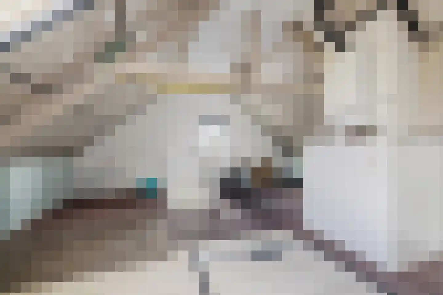 Het Steke 4 Rijsbergen thumbnail 39