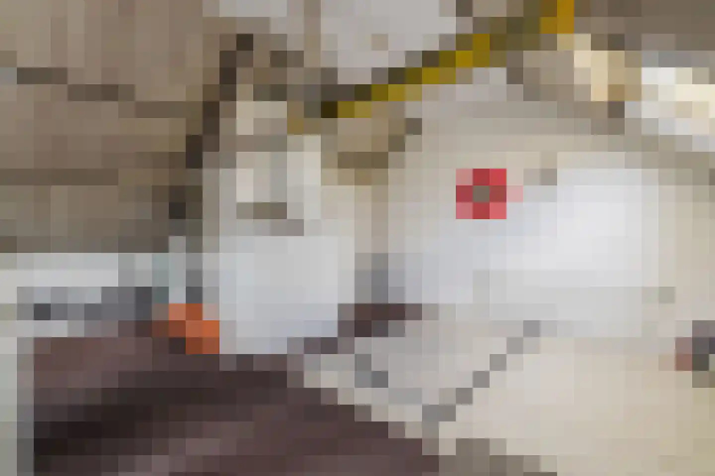 Het Steke 4 Rijsbergen thumbnail 40